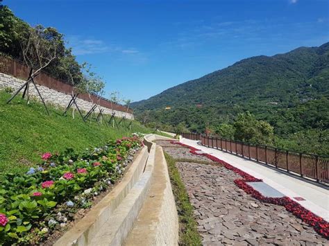 陽明山花葬區|臺北市陽明山「臻善園」花葬區月底啟用 已有多人預約